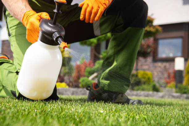 Best Affordable Pest Control Services  in Ellettsville, IN