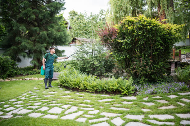 Professional Pest Control in Ellettsville, IN