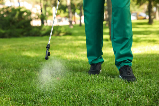 Best Bed Bug Extermination  in Ellettsville, IN