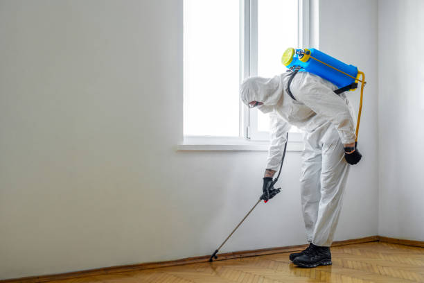 Best Pest Control Near Me in Ellettsville, IN