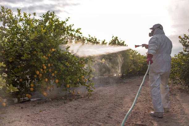 Trusted Ellettsville, IN Pest Control Experts