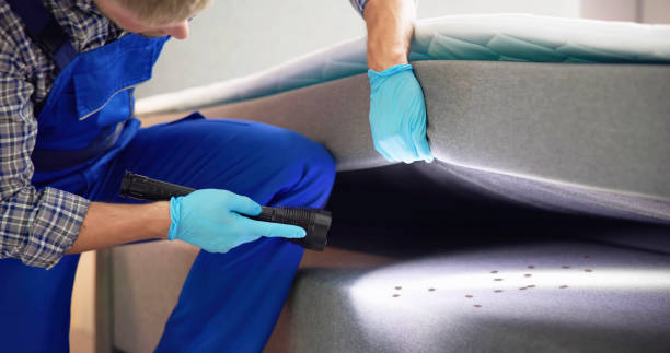 Pest Control Cost in Ellettsville, IN