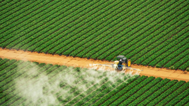 Best Mosquito Control Services  in Ellettsville, IN