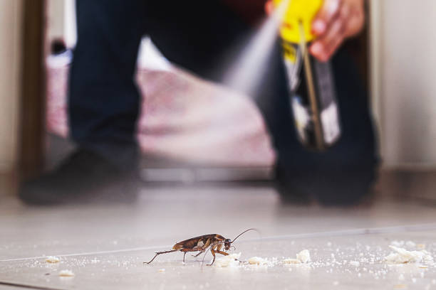 Best Best Pest Control Companies  in Ellettsville, IN