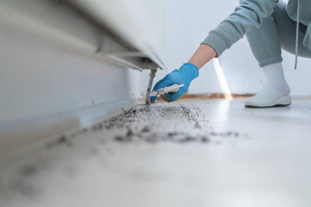 Best Best Pest Control Companies  in Ellettsville, IN