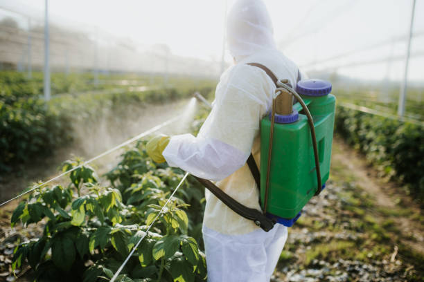 Best Exterminator Services  in Ellettsville, IN